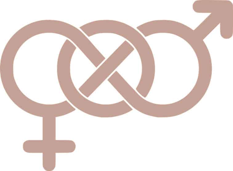 The Lure of Androgyny